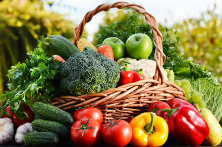 METRO Trader vegetables assortment
